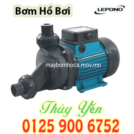 Máy bơm nước hồ bơi, bể bơi giá rẻ LEPONO LSPA600 0.8HP