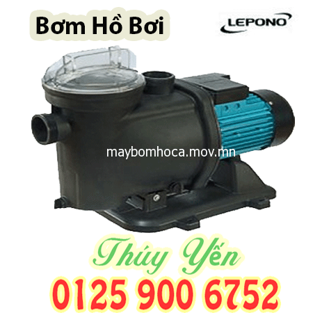 Máy bơm nước hồ bơi, bể bơi gia đình LEPONO XKP 1100 1.5HP