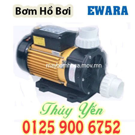 Máy bơm hồ bơi đầu nhựa Spa Pool nhập khẩu EWARA FCP601 0.5HP