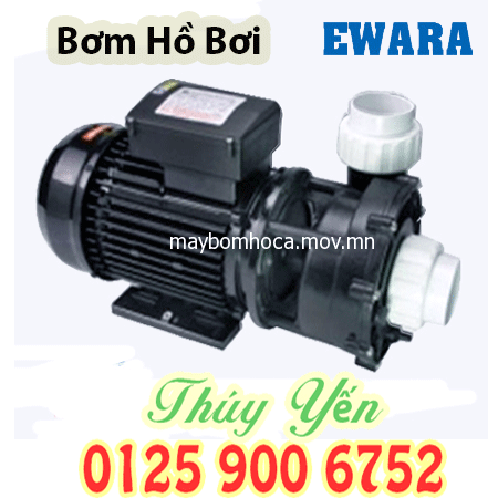 Máy bơm nước hồ bơi thông minh đầu nhựa Spa Pool EWARA WH 100 1HP