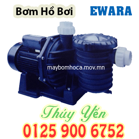 Máy bơm nước hồ bơi đầu nhựa Spa Pool dân dụng gia đình EWARA STP 100 1HP