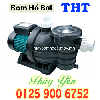 may-bom-nuoc-ho-boi-be-boi-tht-skpa300m-3hp - ảnh nhỏ  1