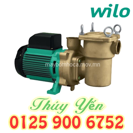 Máy bơm nước biển, hồ bơi dân dụng WILO PU-S400E 0.4KW